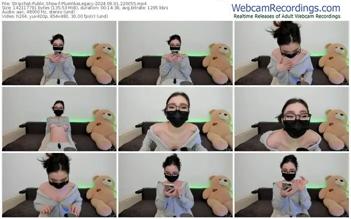 stripchat-plumlikelegacy-09-01-2024-22-00-55