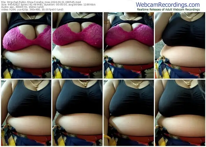 stripchat-sneha_rose-09-01-2024-08-05-45