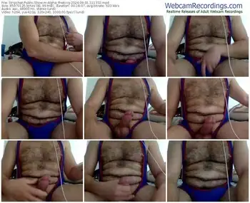 stripchat-alpha_theking-09-01-2024-11-13-32