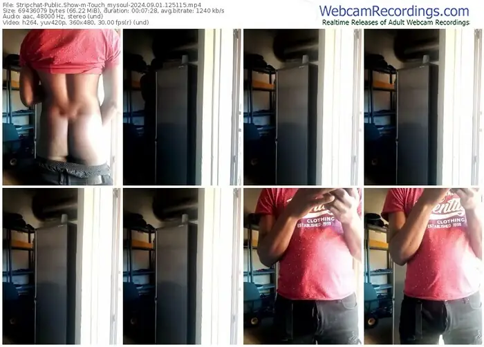 stripchat-touch_mysoul-09-01-2024-12-51-15