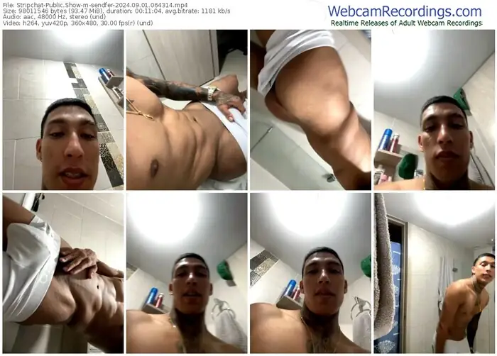 stripchat-sendfer-09-01-2024-06-43-14