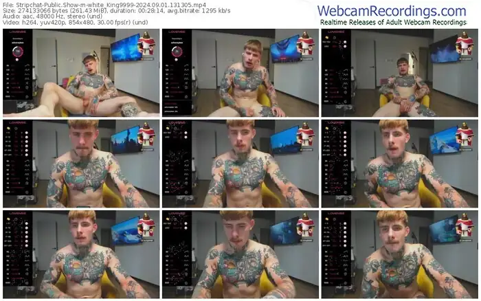 stripchat-white_king9999-09-01-2024-13-13-05