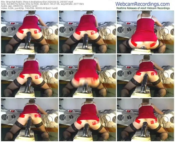 stripchat-analiasissyslut-09-01-2024-16-03-07