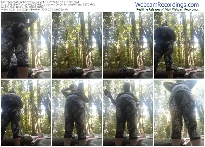 stripchat-julieta-11-09-02-2024-11-52-25