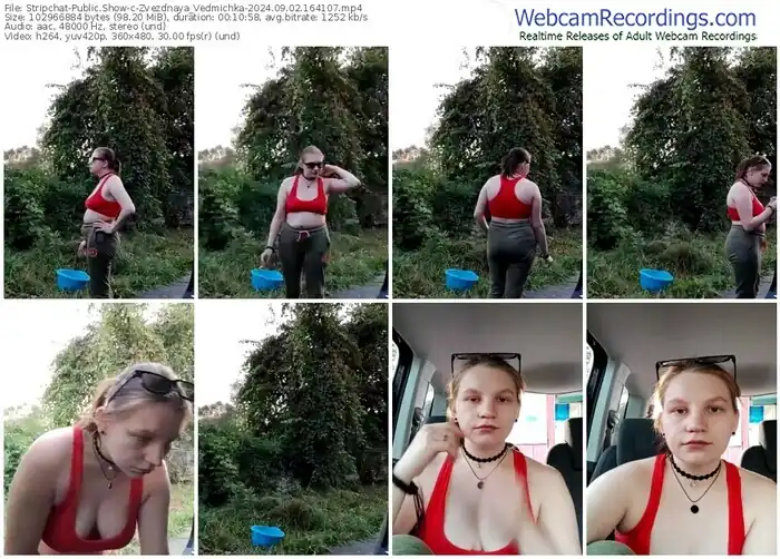 stripchat-zvezdnaya_vedmichka-09-02-2024-16-41-07