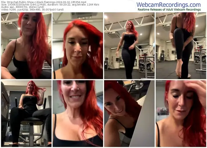 stripchat-black-flamingo-09-02-2024-18-53-54