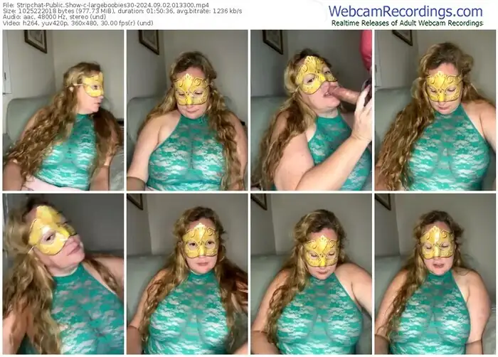 stripchat-largeboobies30-09-02-2024-01-33-00