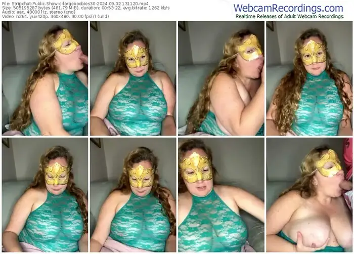 stripchat-largeboobies30-09-02-2024-13-11-20