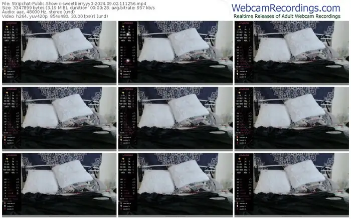 stripchat-sweetberryyy0-09-02-2024-11-12-56