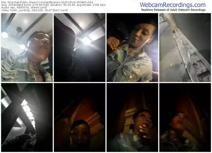 stripchat-crownednyaries-09-02-2024-00-38-43
