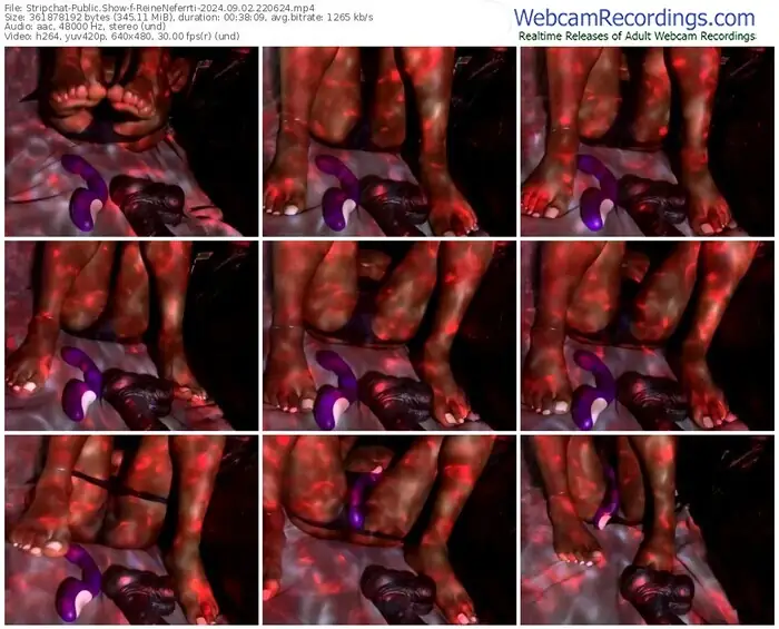 stripchat-reineneferrti-09-02-2024-22-06-24