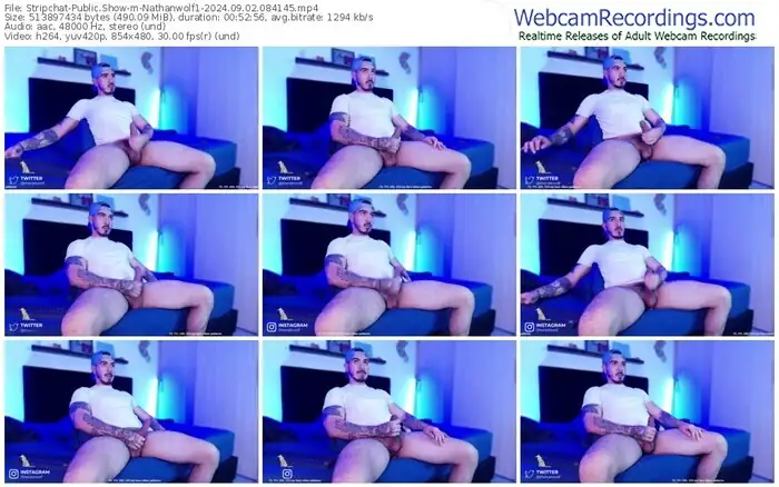 stripchat-nathanwolf1-09-02-2024-08-41-45