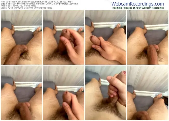 stripchat-stayhighdude01-09-02-2024-15-41-37