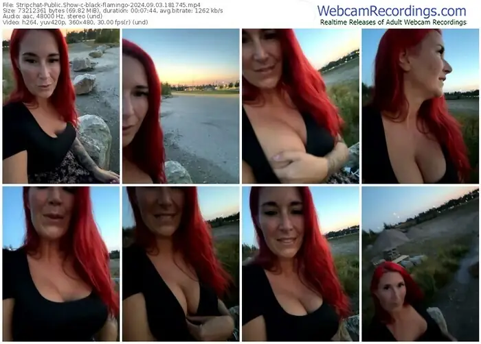 stripchat-black-flamingo-09-03-2024-18-17-45