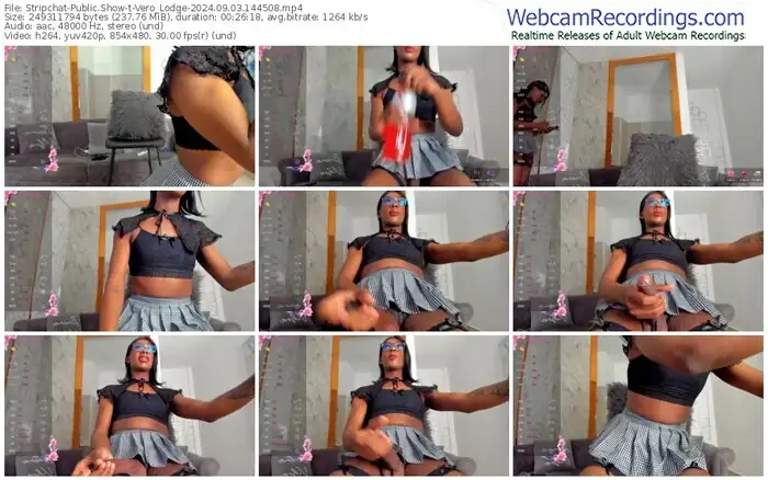 stripchat-vero_lodge-09-03-2024-14-45-08