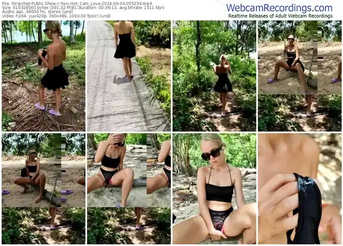 stripchat-two_hot_cats_love-09-04-2024-05-52-34