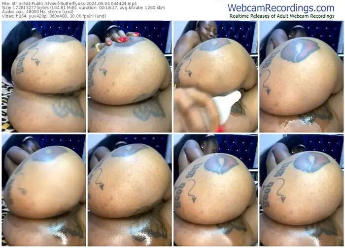 stripchat-butterflyass-09-04-2024-04-44-24