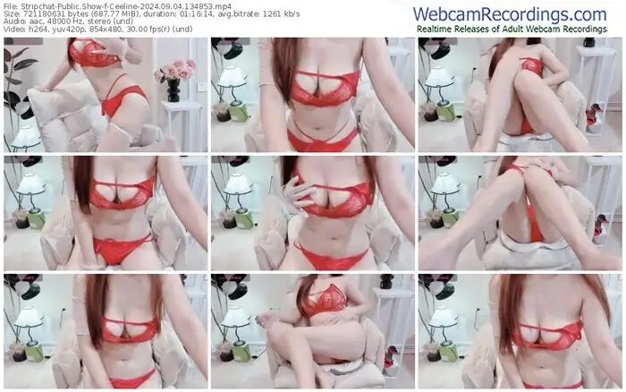 stripchat-ceeline-09-04-2024-13-48-53