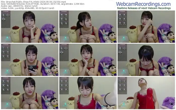 stripchat-n_hibiki-09-04-2024-15-15-50