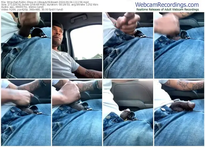 stripchat-1beautyn1beast-09-04-2024-11-11-58