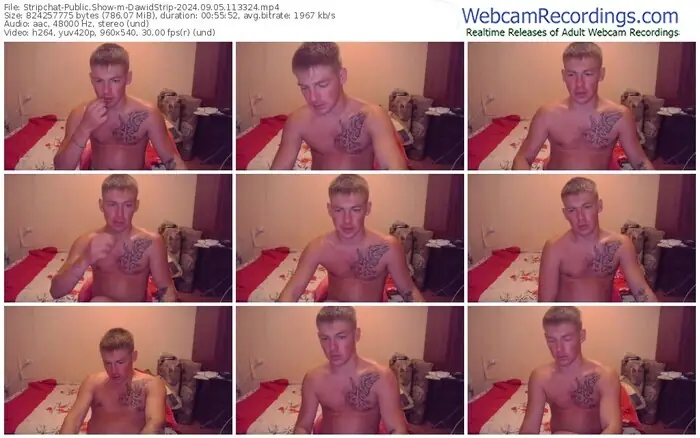 stripchat-dawidstrip-09-05-2024-11-33-24