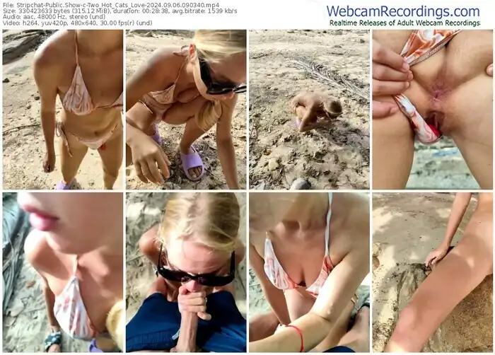 stripchat-two_hot_cats_love-09-06-2024-09-03-40