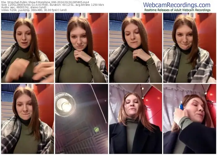 stripchat-morphine_666-09-06-2024-08-58-05