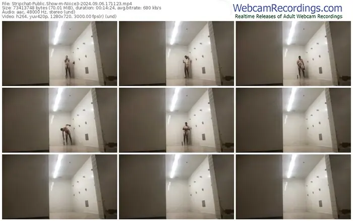 stripchat-niiice3-09-06-2024-17-11-23