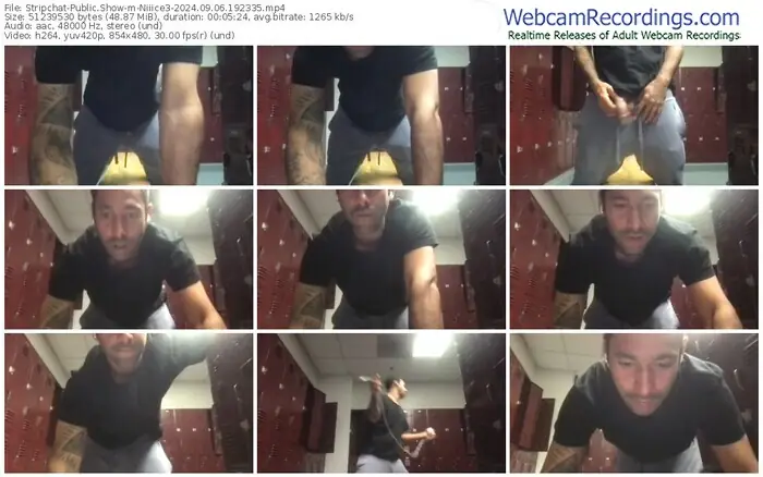 stripchat-niiice3-09-06-2024-19-23-35