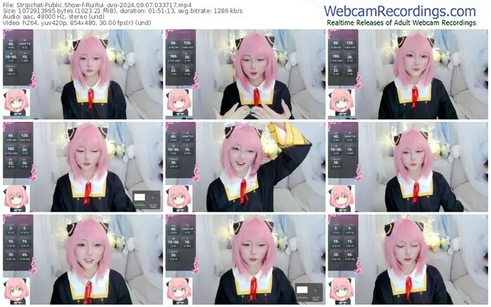 stripchat-ruirui_ovo-09-07-2024-03-37-17