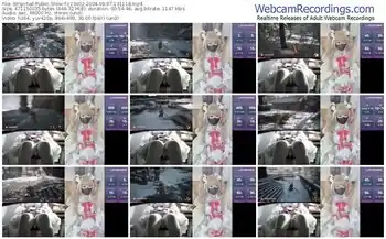 stripchat-z23002-09-07-2024-13-11-18