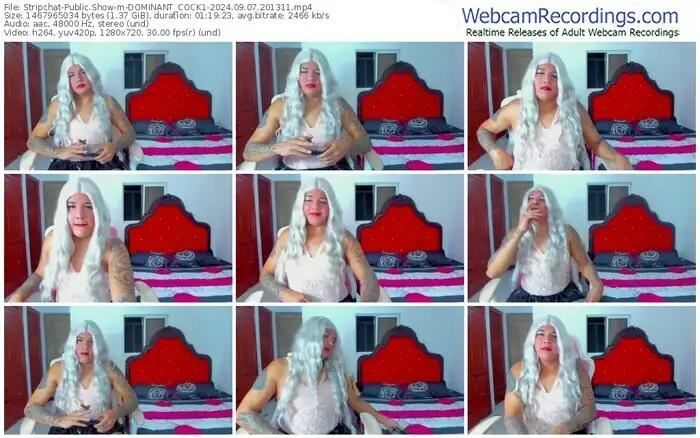 stripchat-dominant_cock1-09-07-2024-20-13-11