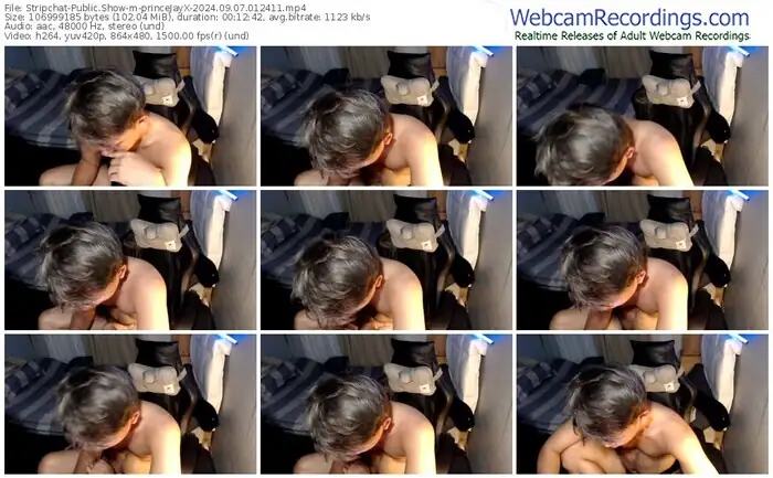 stripchat-princejayx-09-07-2024-01-24-11