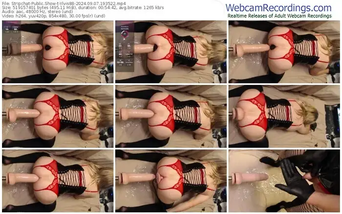 stripchat-ylvis88-09-07-2024-19-35-22