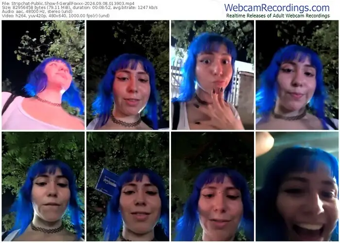 stripchat-gerallfoxxx-09-08-2024-01-39-03