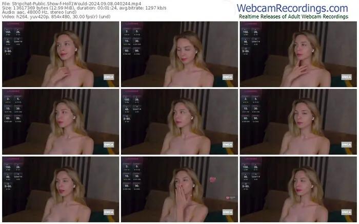 stripchat-holl1would-09-08-2024-04-02-44