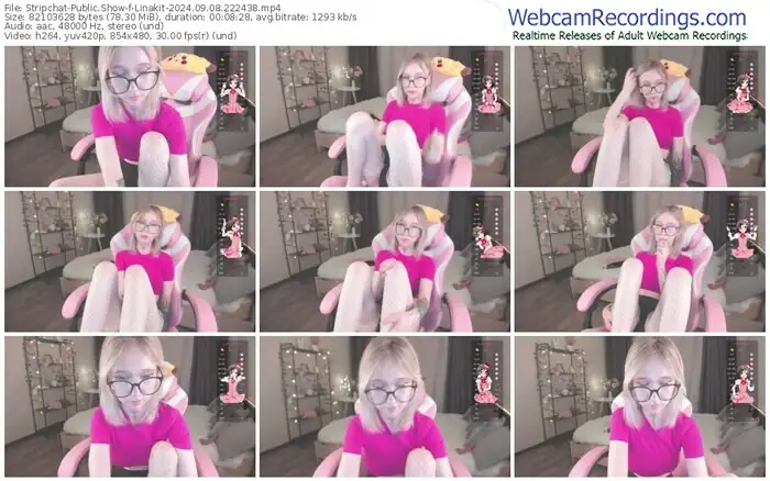 stripchat-linakit-09-08-2024-22-24-38