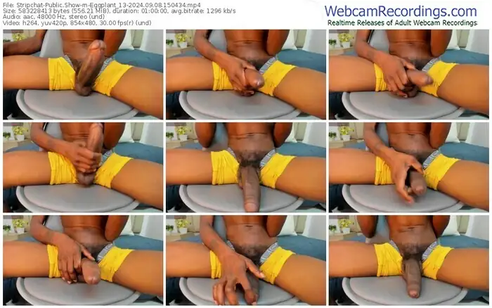 stripchat-eggplant_13-09-08-2024-15-04-34