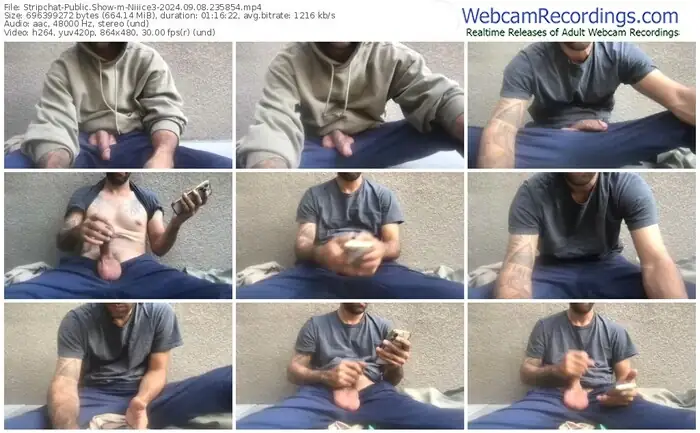 stripchat-niiice3-09-08-2024-23-58-54