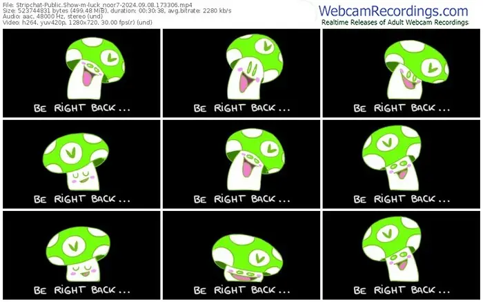 stripchat-luck_noor7-09-08-2024-17-33-06