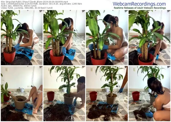 stripchat-zarah_blare-09-09-2024-00-09-39