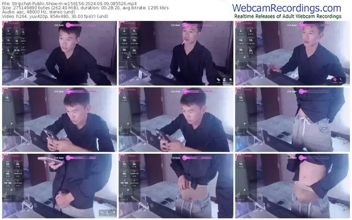 stripchat-w156156-09-09-2024-08-55-26