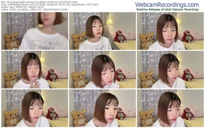stripchat-onekitty-09-10-2024-04-01-45