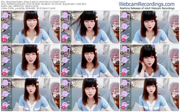 stripchat-a0513-09-10-2024-15-54-07