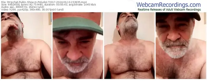 stripchat-peludo173317-09-10-2024-15-39-35