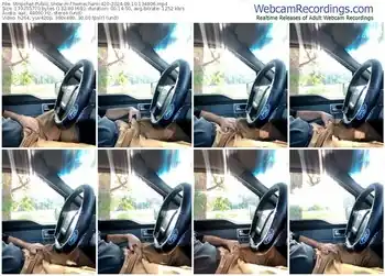 stripchat-themechanic420-09-10-2024-13-48-06