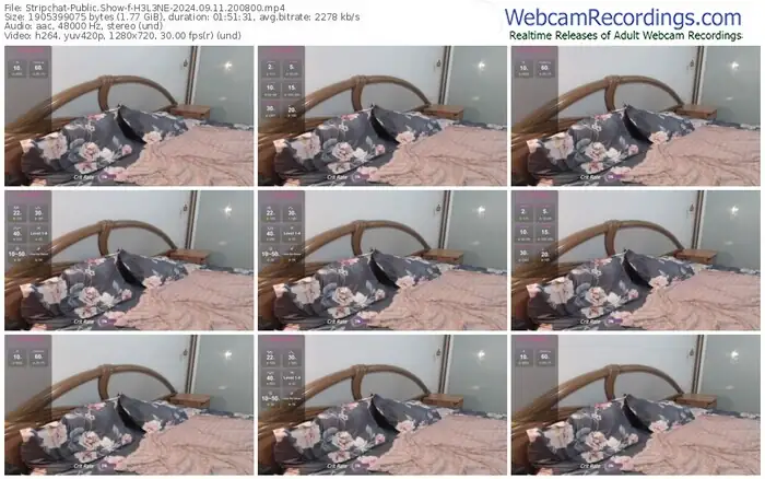 stripchat-h3l3ne-09-11-2024-20-08-00