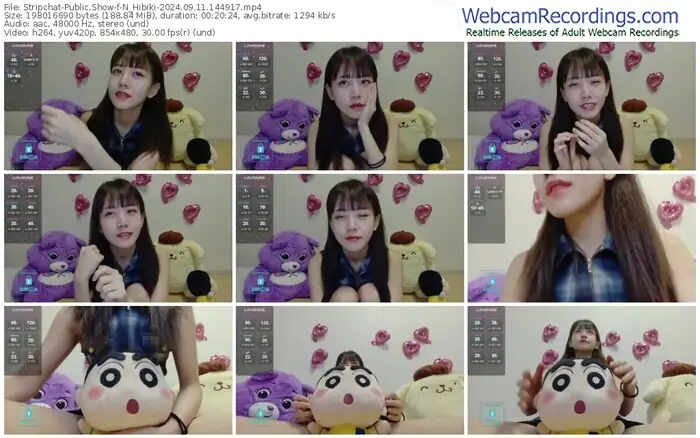 stripchat-n_hibiki-09-11-2024-14-49-17