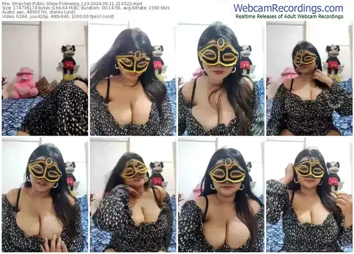 stripchat-venessa_123-09-11-2024-21-43-22