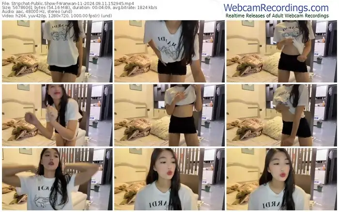 stripchat-wanwan-11-09-11-2024-15-29-45
